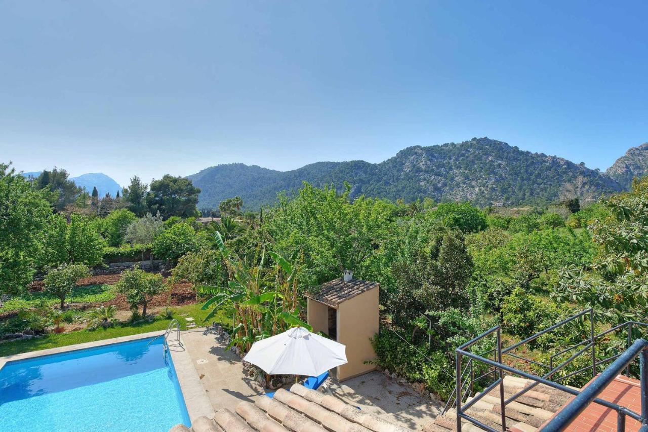 Magdalena Villa *